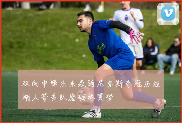 双向中锋杰米森随尼克斯夺冠历经湖人等多队磨砺终圆梦