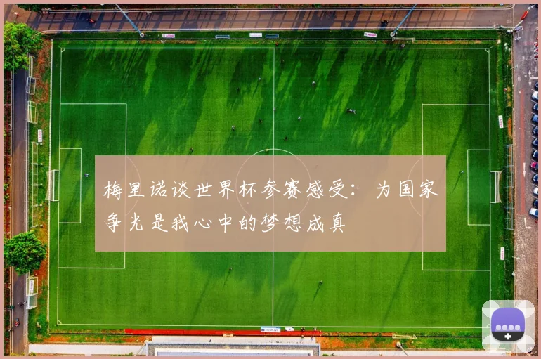 梅里诺谈世界杯参赛感受：为国家争光是我心中的梦想成真