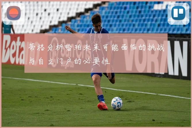蒂格分析哈珀未来可能面临的挑战与自立门户的必要性